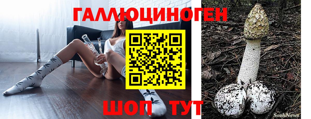 Псилоцибиновые грибы GOLDEN TEACHER Шатура