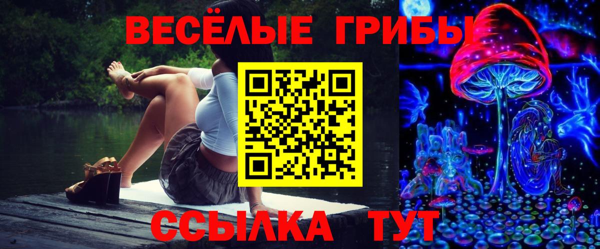 Галлюциногенные грибы ЛСД  Вход с VPN  Шатура 